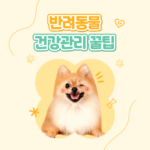 홈페이지1